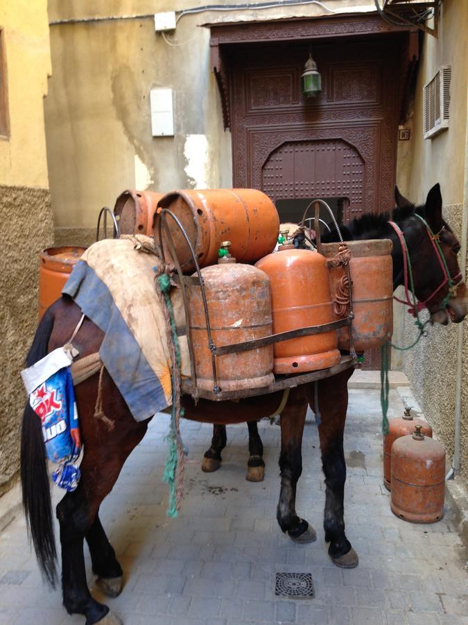 Riad Blanc De פס מראה חיצוני תמונה